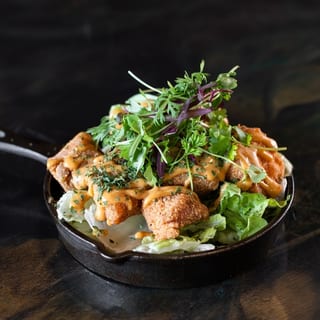 Salmon Bites